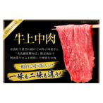 牛肉 訳あり 阿波黒牛 牛上中肉 切り落とし 1kg