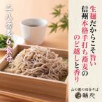 信州そば 本格手打ち生そば6食入と無添加自家製つゆ付き