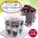 冷凍ハスカップ 300g×6袋