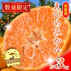 マルハ 温州みかん 3kg