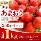 いちご あまおう 約250g×4P