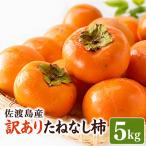 柿 たねなし柿 5kg