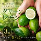 鮮烈な酸味 3kg