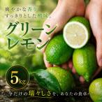 鮮烈な酸味 5kg