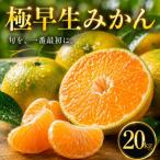 秋の先取り 20kg