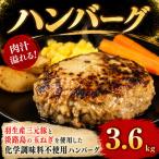 羽生産三元豚の合挽ハンバーグ3.6kg 200g×18個