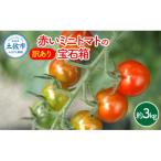 訳あり 赤いミニトマトの宝石箱 約3kg