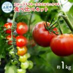 フルーツトマト食べくらべセット 約1kg