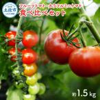 フルーツトマト食べくらべセット 約1.5kg
