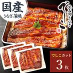 浜名湖養鰻125年の最高傑作 でしこ うなぎのたなかの