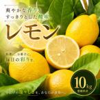 グリーン レモン 10kg