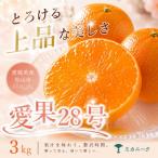 希望の島 温州みかん 新品種 ゆたか 3kg