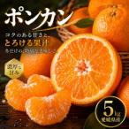 低農薬栽培ポンカン 5kg