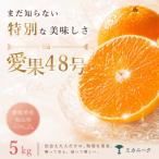 幻の新品種 5kg