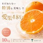 幻の新品種 10kg