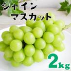 シャインマスカット 約2kg