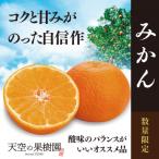 天空の果樹園から届く そらみかん 4.5kg