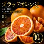 ワインのような深み 10kg