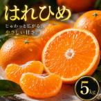 とろける甘み 5kg