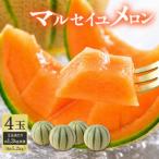 マルセイユメロン 4玉