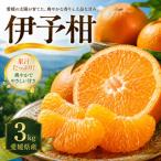 爽やかジューシー 3kg