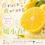 驚きの甘さ 2kg