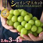 ふるさと納税 笛吹市 【先行予約】シャインマスカット 約2.4kg 3〜4房 皮ごと食べられる人気のぶどう 笛吹市