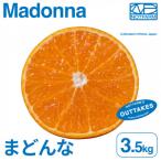 訳ありまどんな 3.5kg