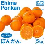 訳ありポンカン5kg PONKAN
