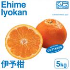 訳あり伊予柑5kg EHIME IYOKAN
