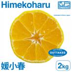 訳あり媛小春2kg EHIME