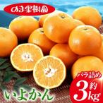 のま果樹園の媛まどんな 約3kg