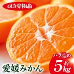 愛媛みかんバラ詰め 5kg