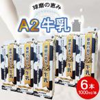 球磨の恵みA2牛乳 6本パック