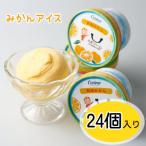 有田みかんジェラートアイス 24個入り