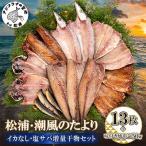 松浦 潮風のたより イカなし 塩サバ増量 干物セット