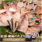 潮風のたより Big イカなし 塩サバ増量