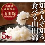 令和7年産 白米 5kg