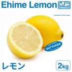 訳ありレモン2kg YELLOW LEMON
