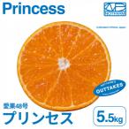 訳ありプリンセス 5.5kg