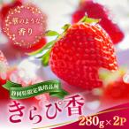 静岡いちご きらぴ香 2パックセット 280g×2パック