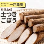 有機JAS 土つきごぼう 10kg