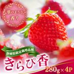 静岡いちご きらぴ香 4パックセット 280g×4パック