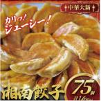 大新冷凍餃子 25個
