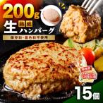 熟成生ハンバーグ 200g×15個