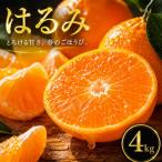 宮内いよかん 4kg