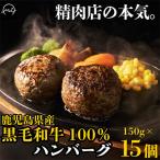 黒毛和牛100%ハンバーグ 15個