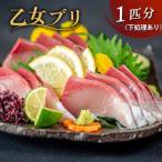 乙女 ブリ 丸ごと1本 約 3kg