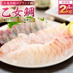 乙女鯛 刺身 柵 アラ付き 2尾