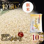 ふるさと納税 下妻市 【令和8年産先行受付】玄米 コシヒカリ 10kg 茨城県下妻市産